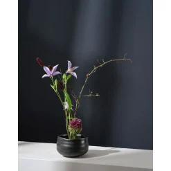 ASASchale 12 cm Moribana Kombu