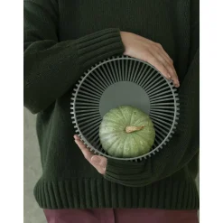 BlomusSchale M 25 cm Lito Agave Green