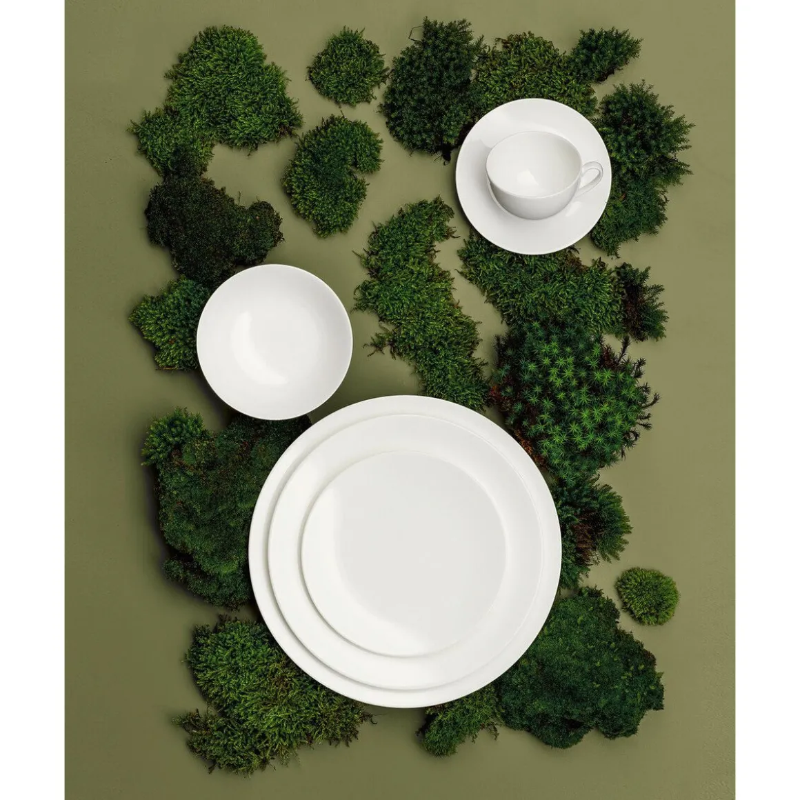 DibbernSpeiseteller 28 cm Pure Bone Chine