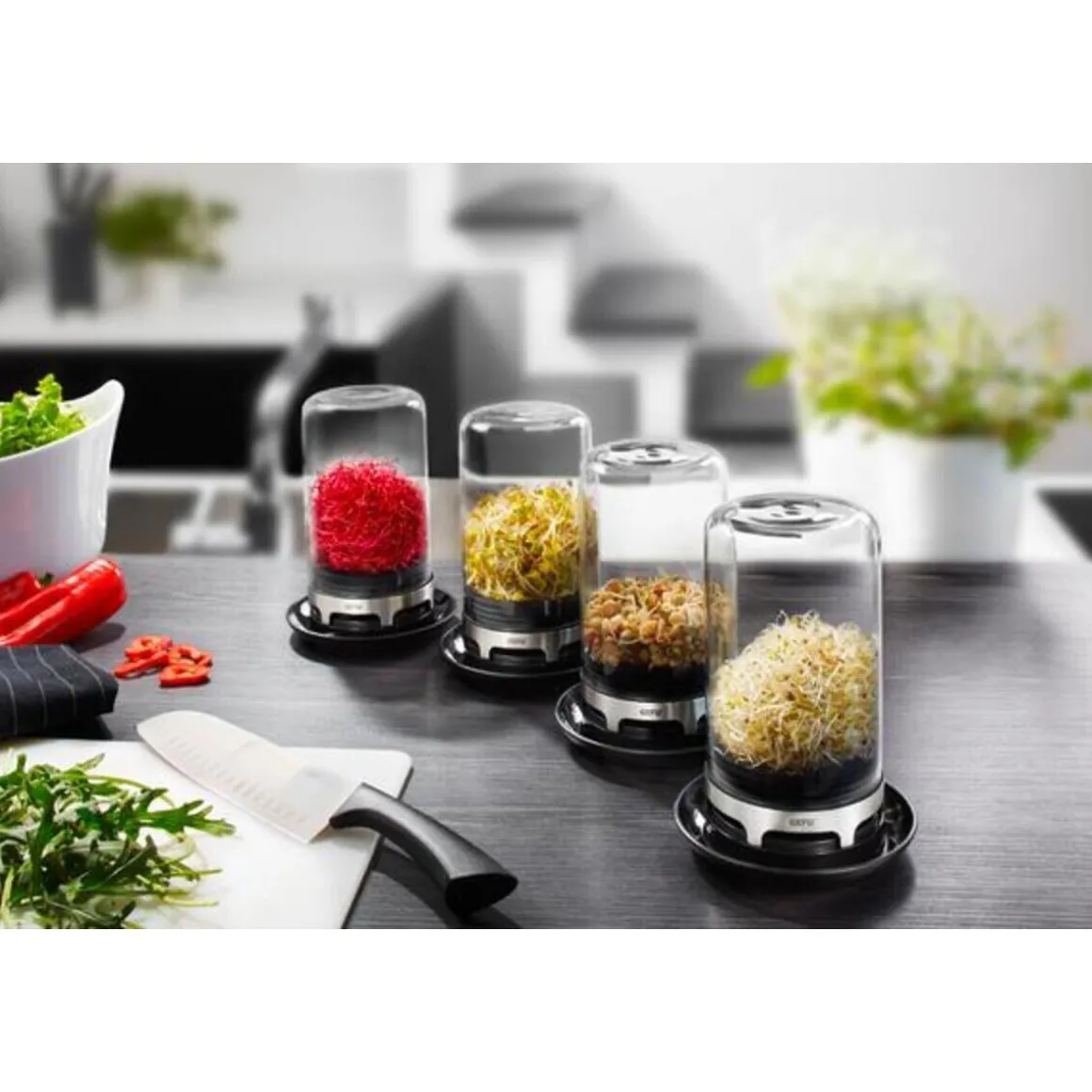 GefuSprossenglas Bivita 18 cm schwarz