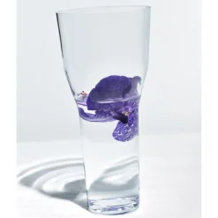 IittalaVase 26 cm Solare klar