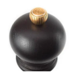 PeugeotSalzmühle 12 cm Paris u'Select schokolade