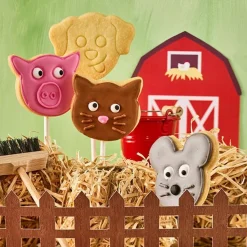 RBV BirkmannAusstecher Schweineschnute 6 cm Edelstahl mit Innenprägung