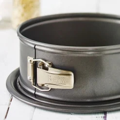 RBV BirkmannSpringform 20cm m. einem Boden Easy Baking