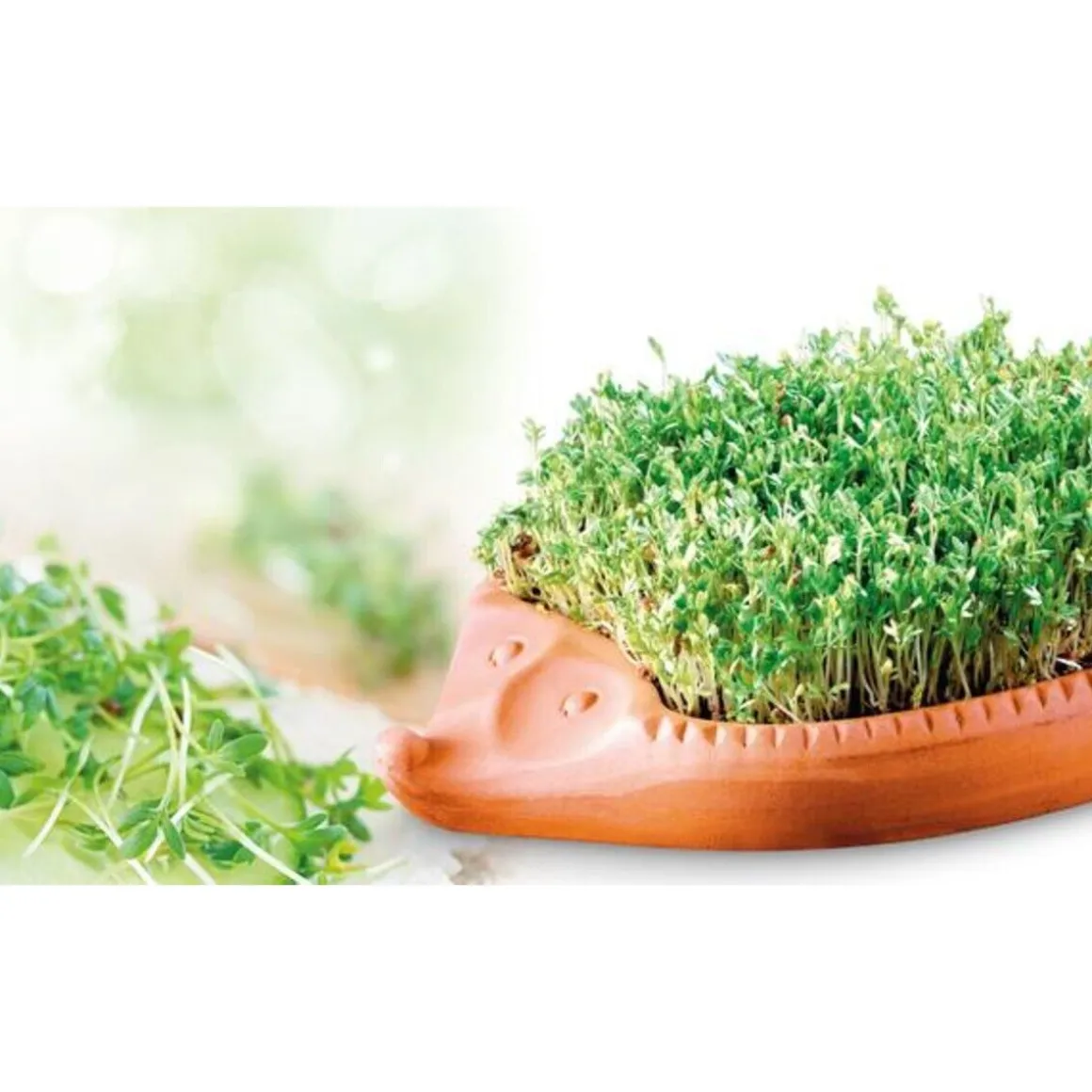 RömertopfKresse-Igel Römertopf