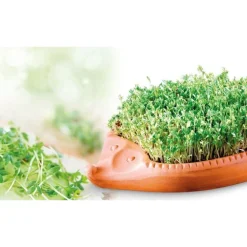 RömertopfKresse-Igel Römertopf