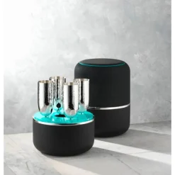 Robbe & BerkingChampagner Box 5-tlg. Dante 90 g versilbert