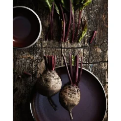 RosenthalTeller tief 22 cm Junto Bronze