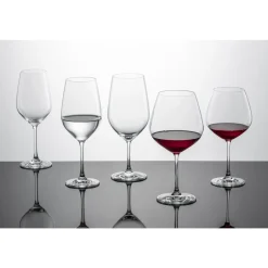 Schott ZwieselWasserglas/Rotweinglas 4er-Set Forté klar