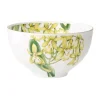 Villeroy & BochBol 13cm Amazonia