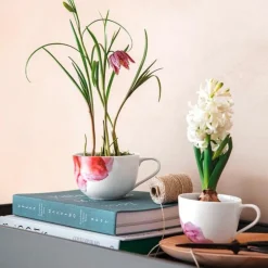 Villeroy & BochFrühstücks Obere 0,45 l Rose Garden