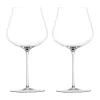Zwiesel GlasBurgunderglas 2er-Set Kolibri